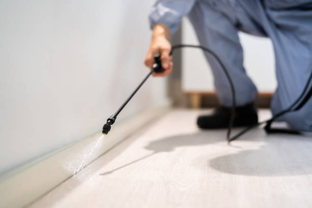 Licensed Pest Control service in Rogers City, MI - Show Me Pest Control